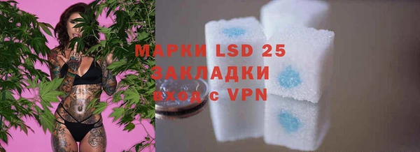 индика Белокуриха