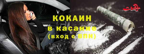 индика Белокуриха