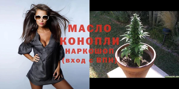 индика Белокуриха