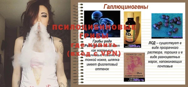 индика Белокуриха