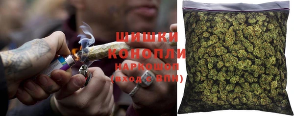 индика Белокуриха