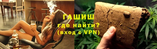 индика Белокуриха