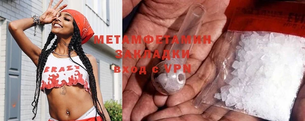 индика Белокуриха