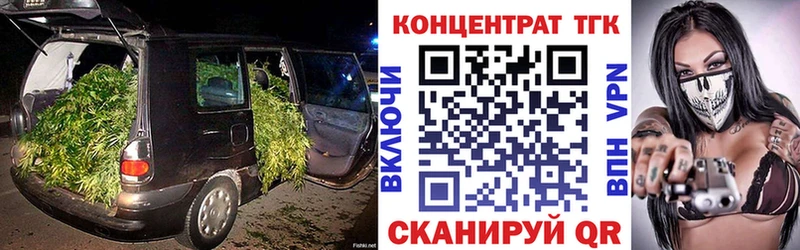 Купить где Дагестанские Огни Дистиллят ТГК THC oil