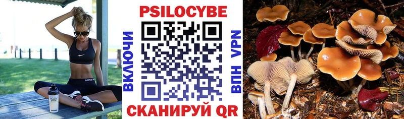 Галлюциногенные грибы прущие грибы  Купить где  Дагестанские Огни 